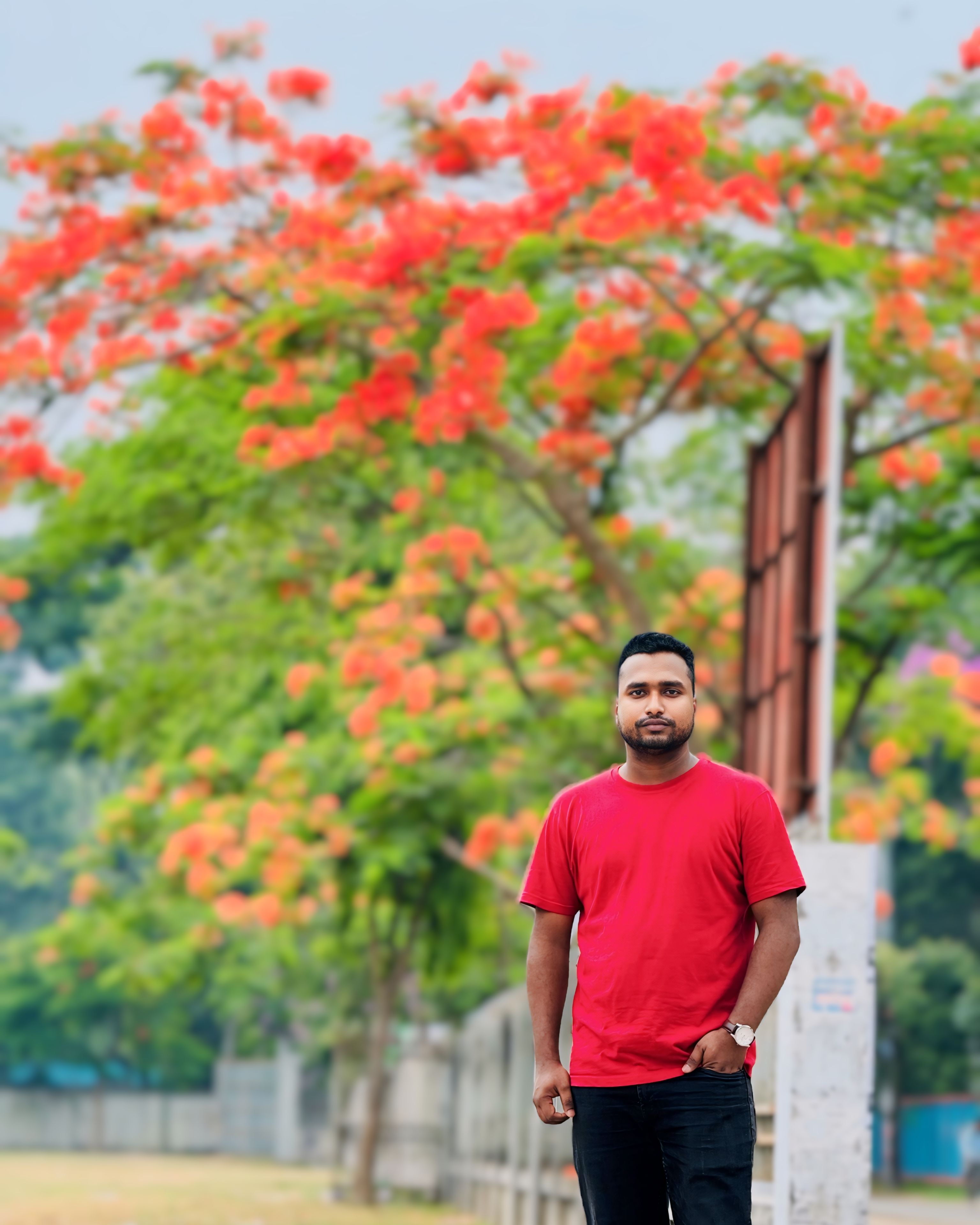Md. Saiful Islam